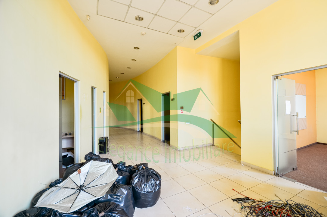 big__65c380712c63d-7