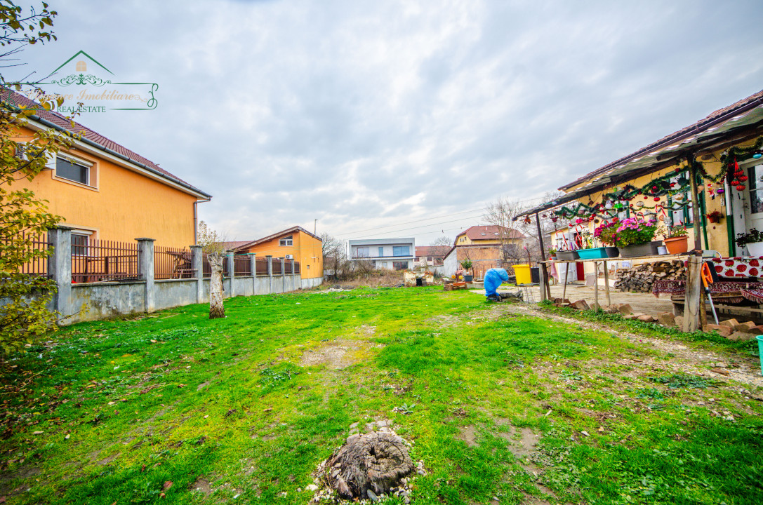 big__6749c36528a40-5