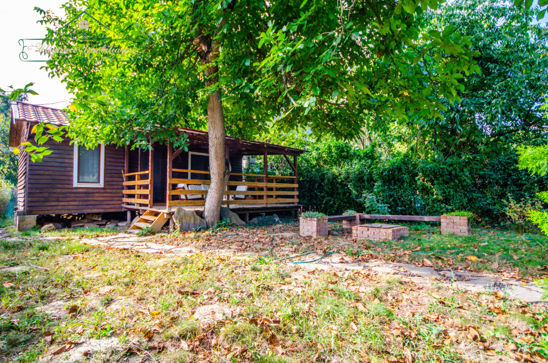 big__68de9a5d39a40-6