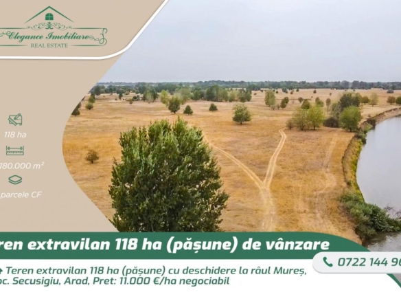 Teren extravilan 118 ha(pășune) cu deschidere la râul Mureș, Loc.Secusigiu, Arad