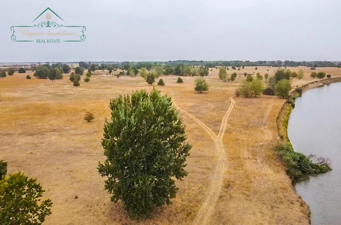Teren extravilan 118 ha(pășune) cu deschidere la râul Mureș, Loc.Secusigiu, Arad