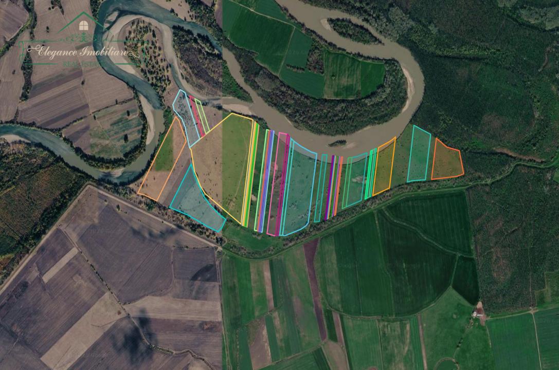 Teren extravilan 118 ha(pășune) cu deschidere la râul Mureș, Loc.Secusigiu, Arad