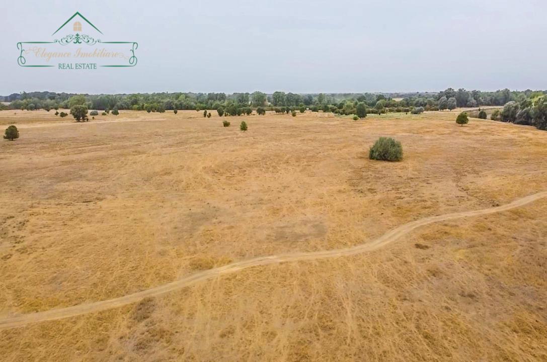 Teren extravilan 118 ha(pășune) cu deschidere la râul Mureș, Loc.Secusigiu, Arad