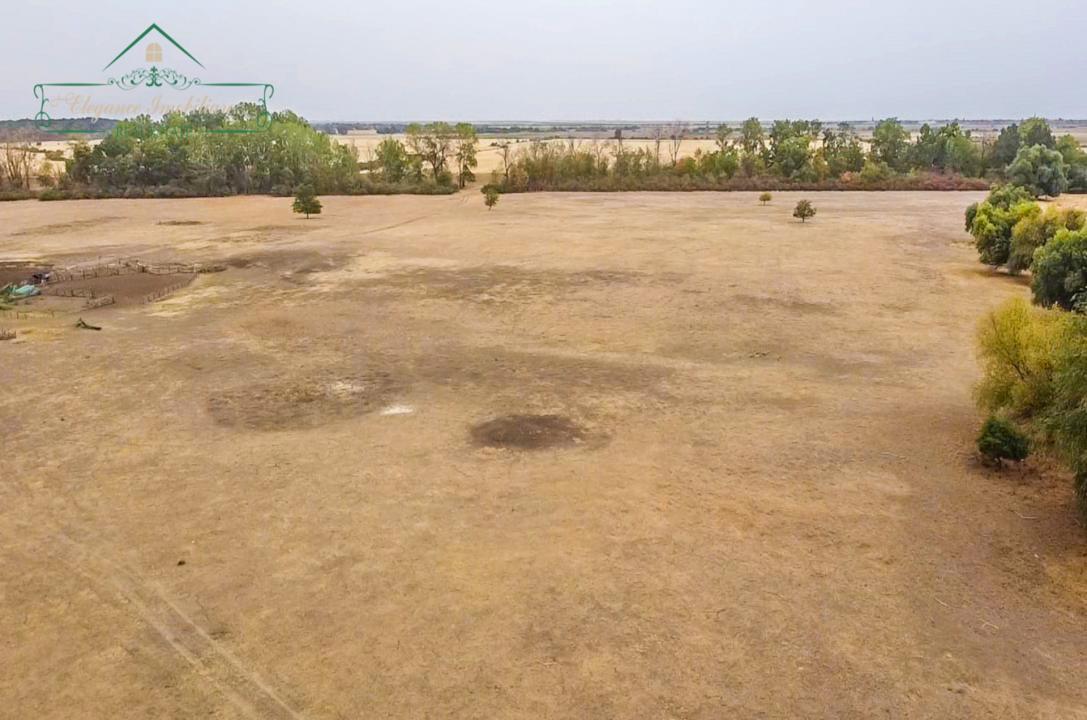 Teren extravilan 118 ha(pășune) cu deschidere la râul Mureș, Loc.Secusigiu, Arad